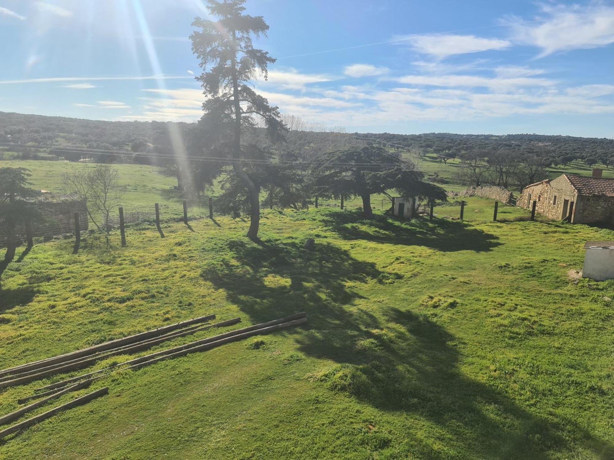 Casa Rural Palacio Conde De Aldana Con Piscina Entre Encinares Y Dehesas Terradillos エクステリア 写真