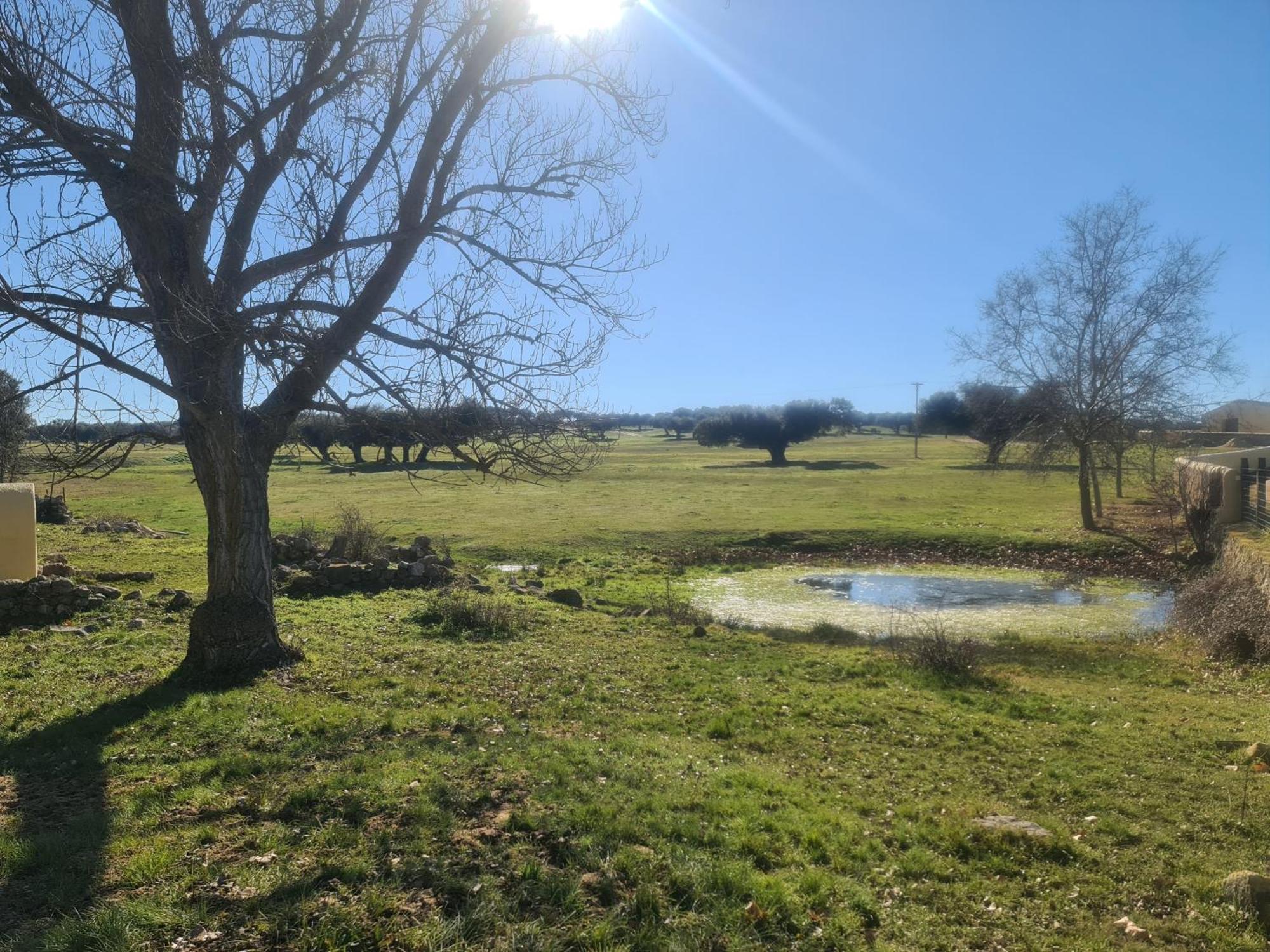 Casa Rural Palacio Conde De Aldana Con Piscina Entre Encinares Y Dehesas Terradillos エクステリア 写真